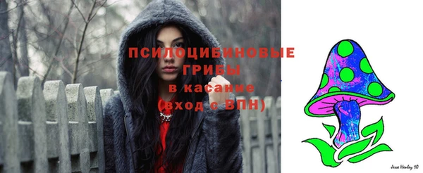 амф Алексеевка