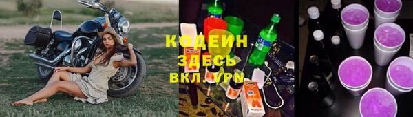 apvp Кукмор