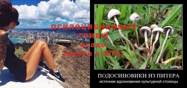 амф Алексеевка