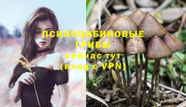соль курить ск Алзамай