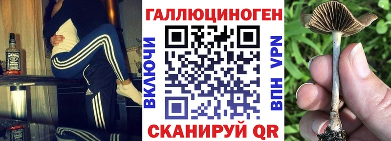 Галлюциногенные грибы Cubensis Старый Оскол